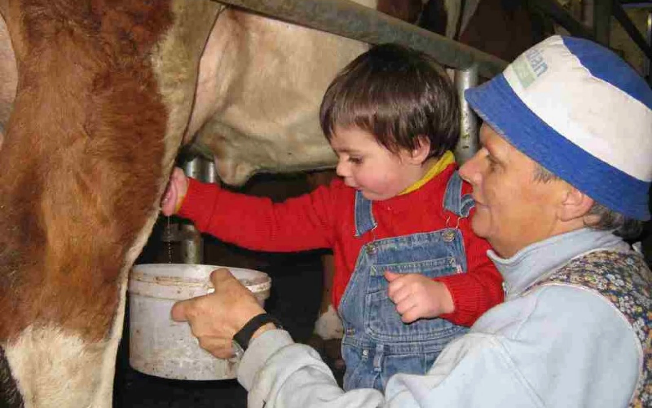 Bild 5 - Rita Verginer_800x600.jpg